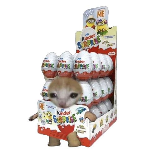 🫥 Стикер «Cat Eat» для Telegram