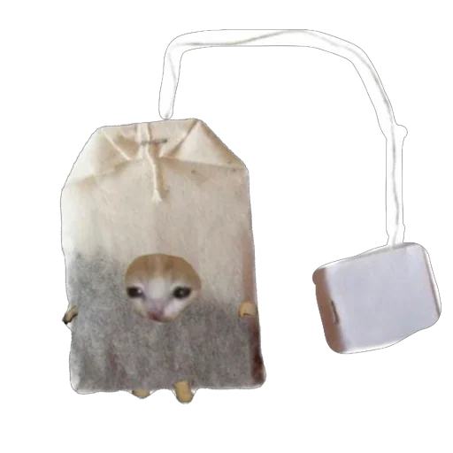 🫥 Стикер «Cat Eat» для Telegram