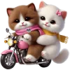 🛵 Эмодзи «Кошачья любовь» для Telegram