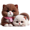 🥹 Эмодзи «Кошачья любовь» для Telegram