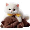 🥱 Эмодзи «Кошачья любовь» для Telegram