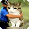 Стикер 8 Мяовл