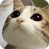Стикер 46 Мяовл