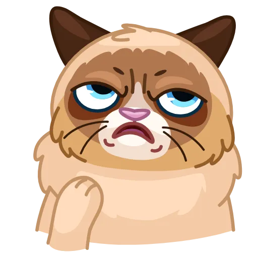 Стикер 30 Cats Memes