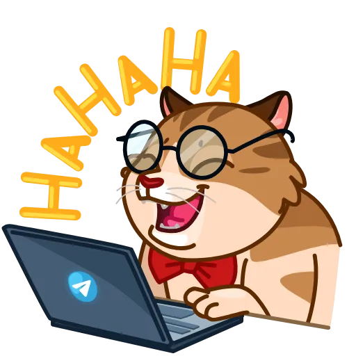 Обложка набора Cats Memes