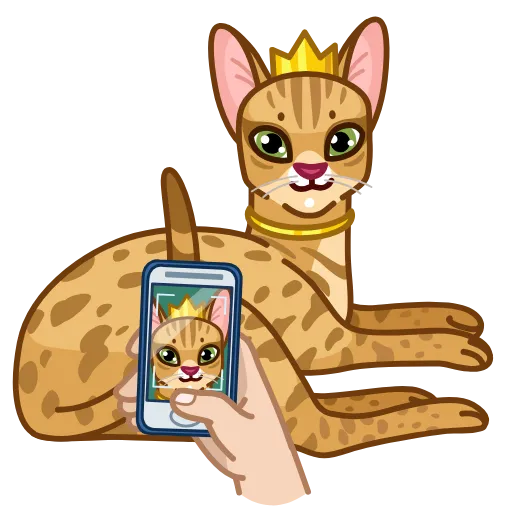 Стикер 25 Cats Memes