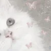 Стикер 4 Кисульки