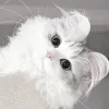 Стикер 51 Кисульки