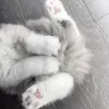 Стикер 33 Кисульки