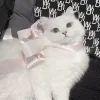 Стикер 18 Кисульки