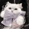 Стикер 5 Кисульки