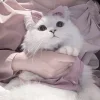 Стикер 6 Кисульки