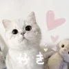 Стикер 45 Кисульки