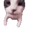 Стикер 6 Cats Big Pack