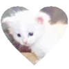 Стикер 47 Cats Big Pack