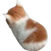 Стикер 49 Cats Big Pack