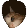 Стикер 7 Cats Big Pack