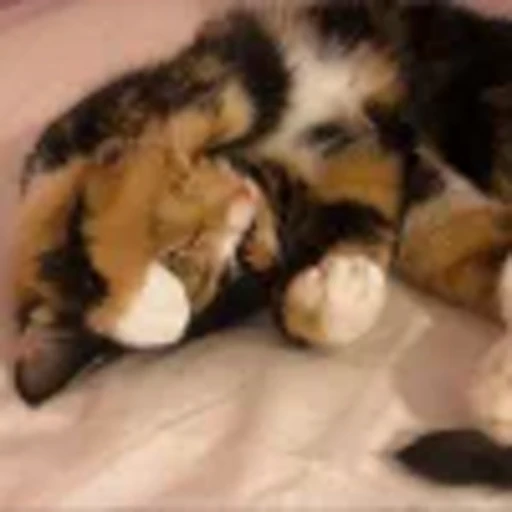 🤩 Эмодзи «⠀ ⠀ ⠀ ⠀ ⠀Cats» для Telegram