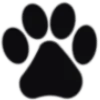 Стикер 24 𓄹 ᴄᴀᴛs 𓄹