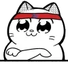 Стикер 40 Catting Cat