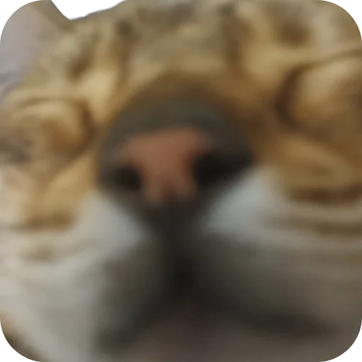 🐱 Стикер «Цезарь» для Telegram