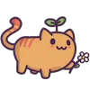 Стикер 37 🐱 Cats