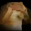 Стикер 16 🕺 Cheems Emomjis Doge