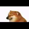 Стикер 47 🕺 Cheems Emomjis Doge