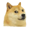 Стикер 6 🕺 Cheems Emomjis Doge