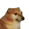 Стикер 4 🕺 Cheems Emomjis Doge