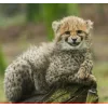 Стикер 49 Cheetahs