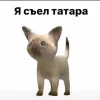 Стикер 61 Cheetahs