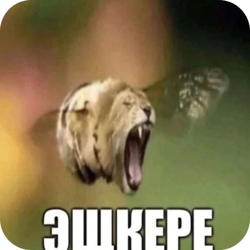 🖼 Стикер «Пїдарьоніш» для Telegram