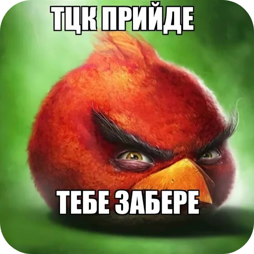 🖼 Стикер «Пїдарьоніш» для Telegram