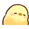 Стикер 29 Cute Chick - цыплёнок