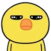 Стикер 19 Chick