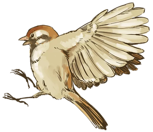 🐤 Стикер «Chik Chirik the sparrow» для Telegram