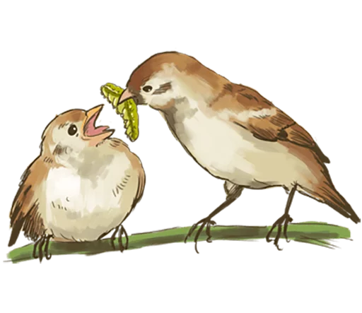 🤐 Стикер «Chik Chirik the sparrow» для Telegram