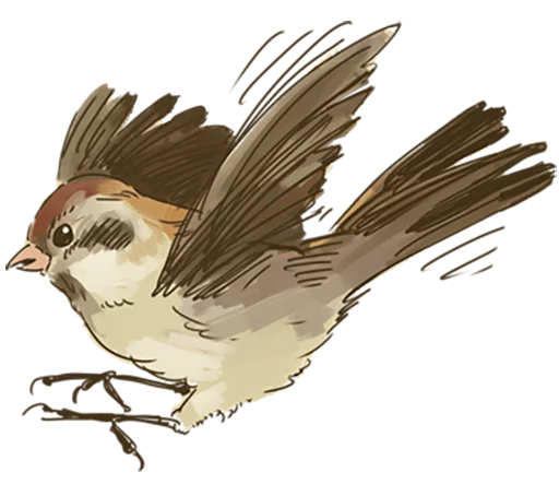 🐤 Стикер «Chik Chirik the sparrow» для Telegram