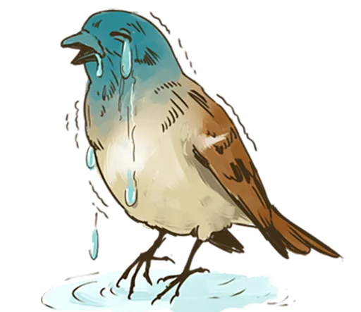 😭 Стикер «Chik Chirik the sparrow» для Telegram