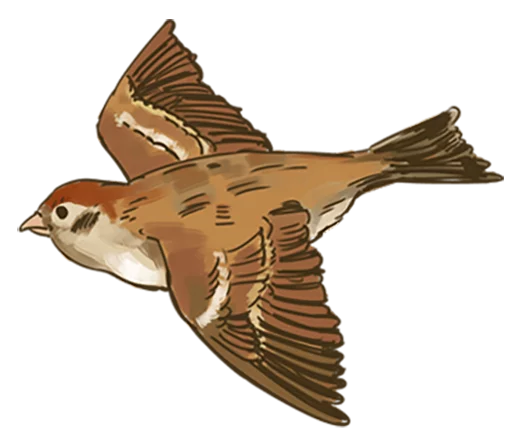 🐤 Стикер «Chik Chirik the sparrow» для Telegram