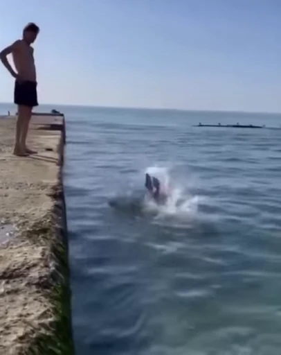 🏊 Стикер «Олег монгол» для Telegram