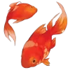 Стикер 18 Chinese Emoji