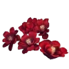 Стикер 11 Chinese Emoji