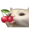 🐈 Эмодзи «Необычные эмодзи 💸» для Telegram
