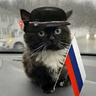 Стикер 8 Чмоня