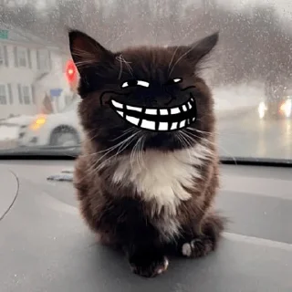 Стикер 20 Чмоня