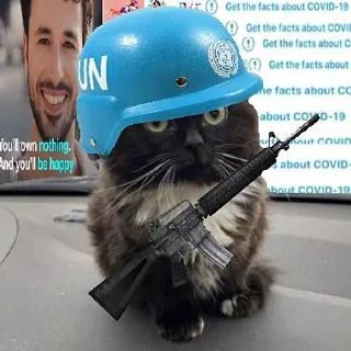 Стикер 17 Чмоня