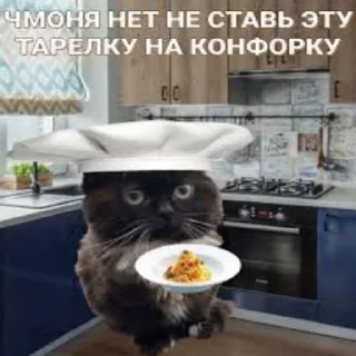 Стикер 55 Чмоня