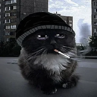 Стикер 46 Чмоня